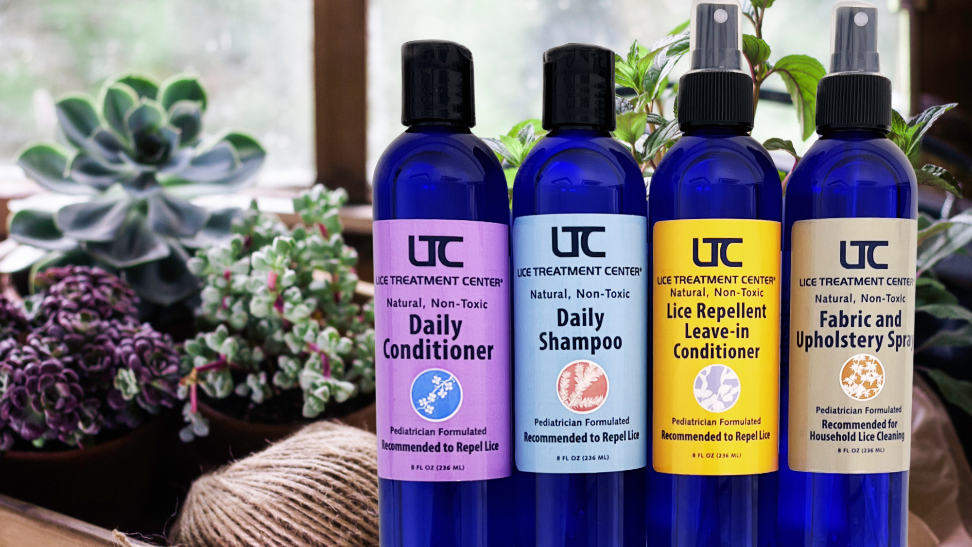 lice treatment and prevention products